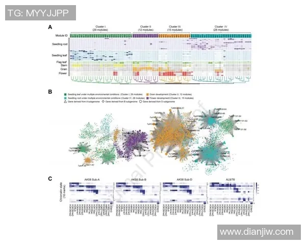 数据分析在TES表现中的关键作用与影响探讨
